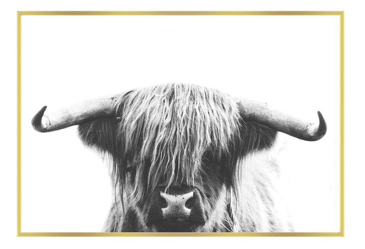 Canvas Print Small		50x70cm / Gold Highlander Highlander Wall Art : Ready to hang framed artwork. Brand