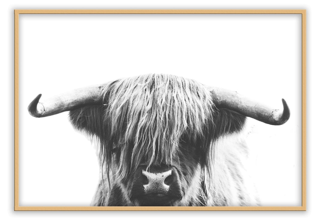 Canvas Print Small		50x70cm / Oak Highlander Highlander Wall Art : Ready to hang framed artwork. Brand