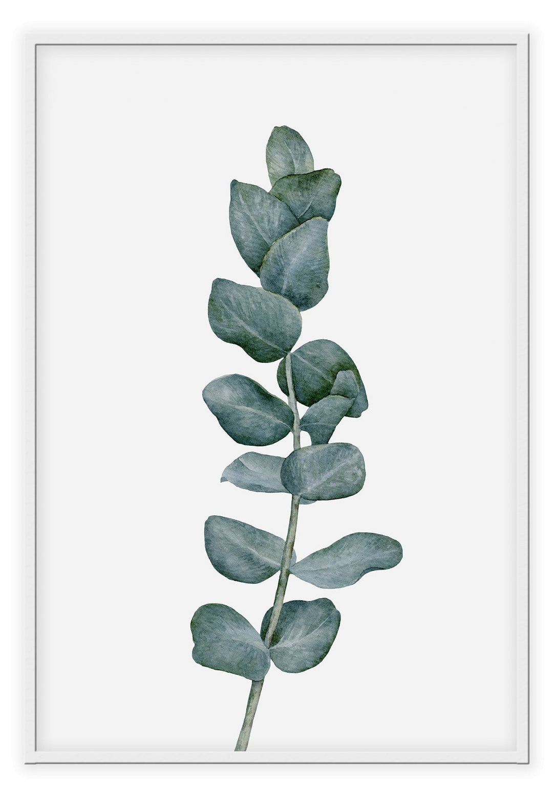 Canvas Print Sketchy Eucalyptus Sketchy Eucalyptus Wall Art : Ready to hang framed artwork. Brand