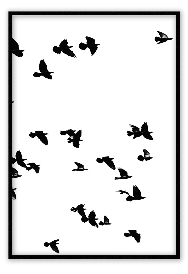 Canvas Print 50x70cm / Black Sky Birds Sky Birds Wall Art : Ready to hang framed artwork. Brand