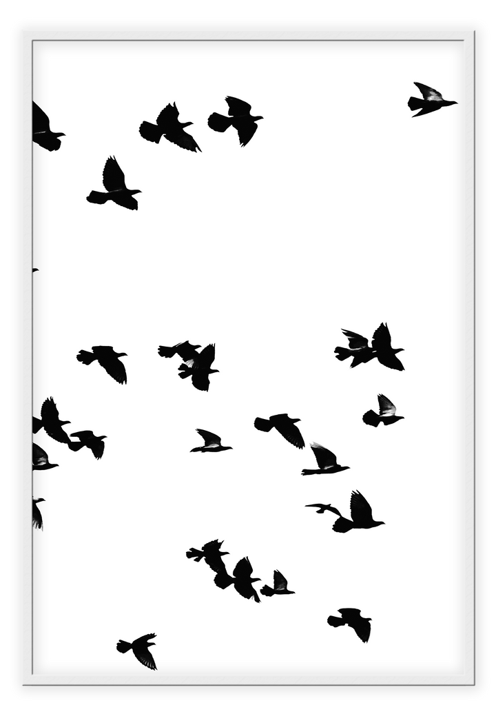 Canvas Print 50x70cm / White Sky Birds Sky Birds Wall Art : Ready to hang framed artwork. Brand