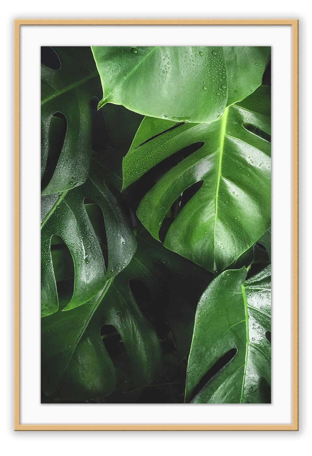 Canvas Print Small		50x70cm / Oak verese Verese Wall Art : Ready to hang framed artwork. Brand